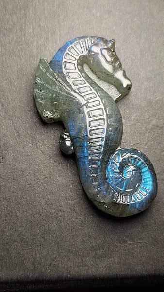 Labradorite Seahorse Carving