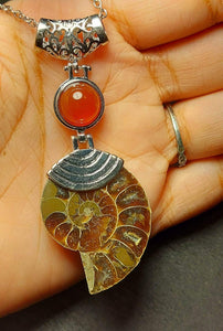 NEW!!! Carnelian Crystal Gemstone & Ammonite Pendant